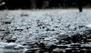 Kothagudem Hit by Extreme Rainfal