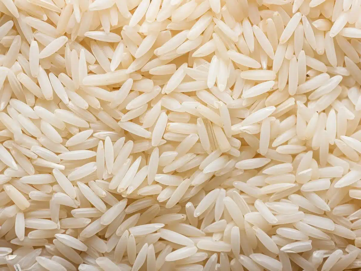 3 Ton PDS Rice Seized in Hyderabad Raid