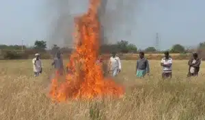 Rajanna Siricilla Farmers Protest