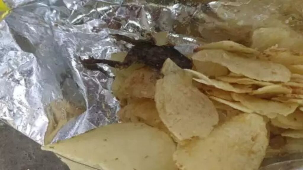 Dead Frog in Balaji Wafers Dead Frog in Balaji Wafers
