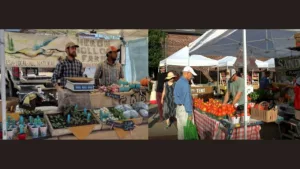 Alabama Markets Celebrate Sweet Grown Alabama Day