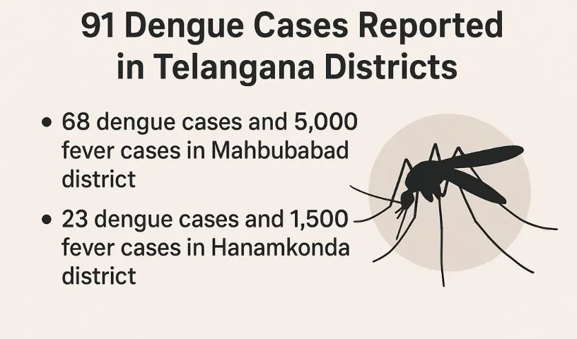 91 Dengue Cases Reported in Telangana Districts 91 Dengue Cases Reported in Hanamkonda and Mahbubabad